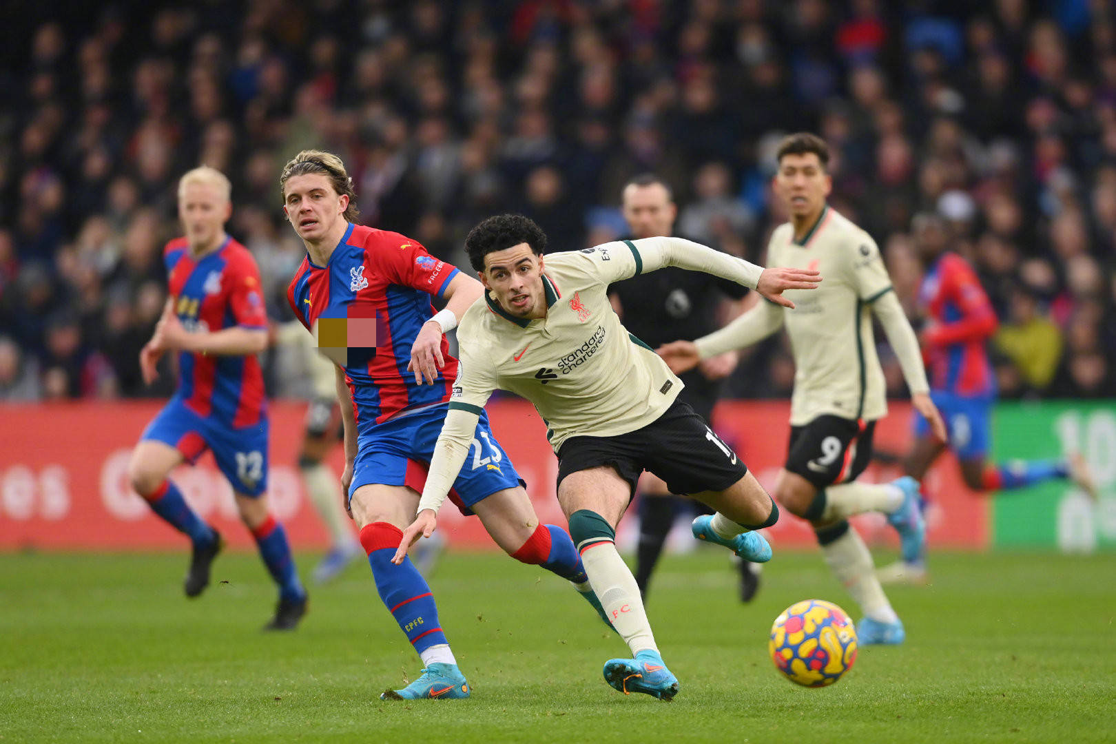 曾在多个欧 曾在多个欧